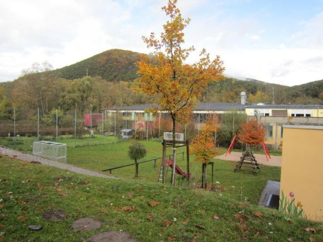 Angebote Kauf Bad Durkheim Fur Anleger Nahe Herzogweiher