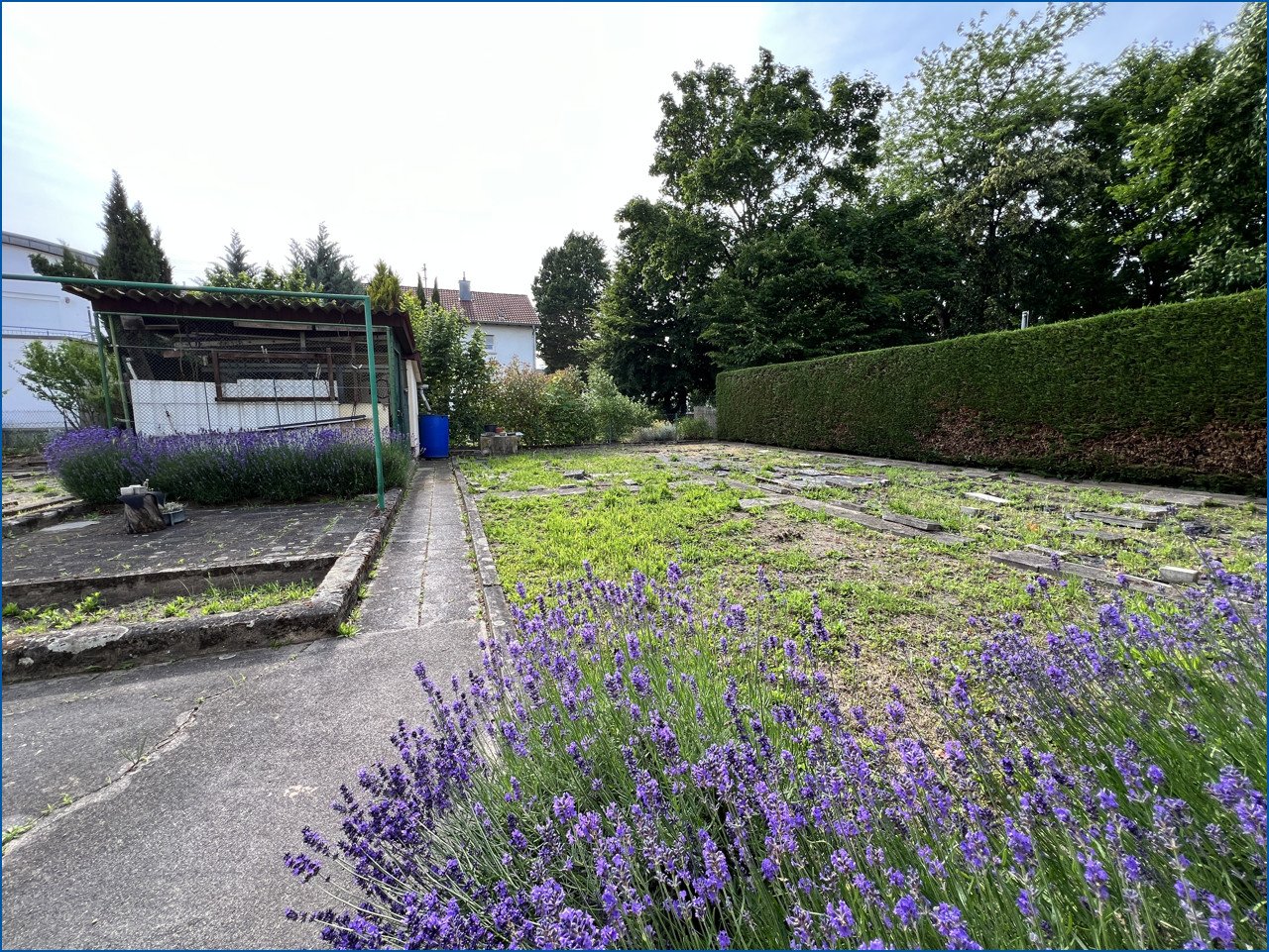 der Garten der Garten